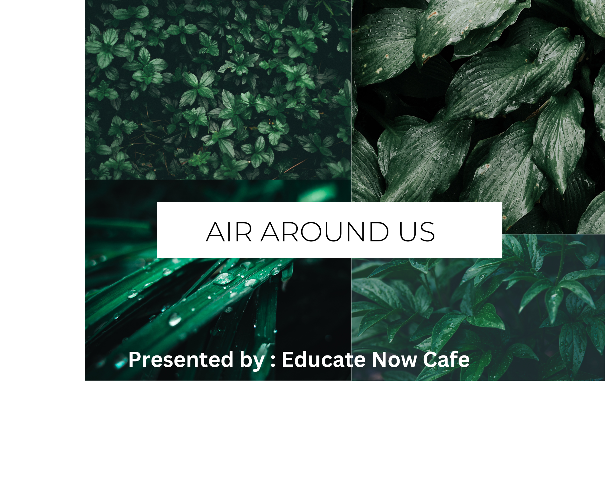 You are currently viewing Class-6 (Science) AIR AROUND US